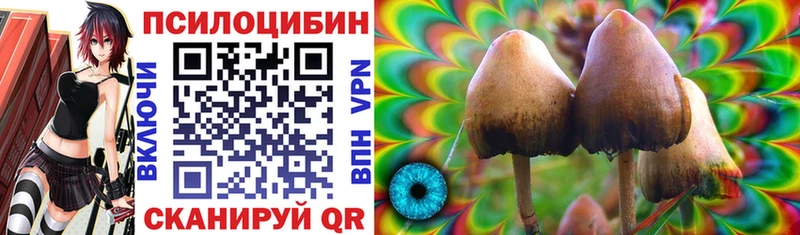 Купить  Грязи  Галлюциногенные грибы Magic Shrooms 